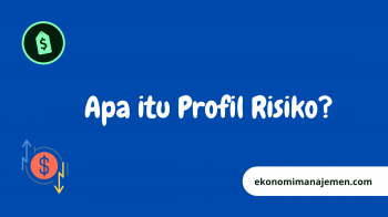 Apa itu profil risiko?
