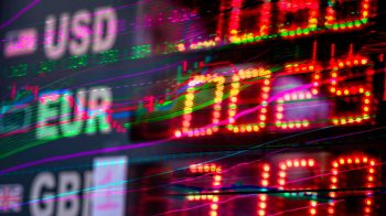 Strategi Menghadapi Badai Global dari Halaman Belakang Rumah